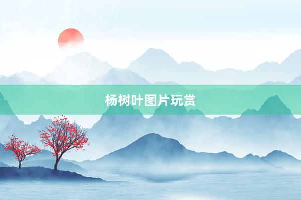 杨树叶图片玩赏