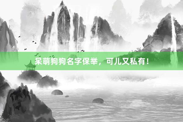 呆萌狗狗名字保举，可儿又私有！