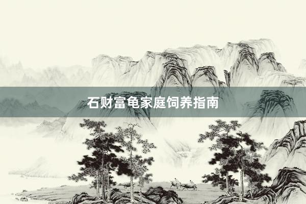 石财富龟家庭饲养指南