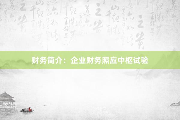 财务简介:企业财务照应中枢试验